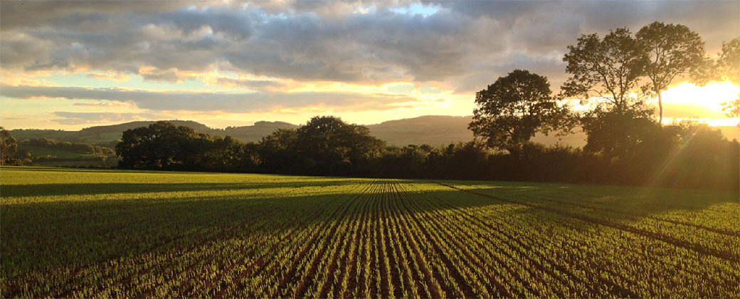 quantockgrassharrow02